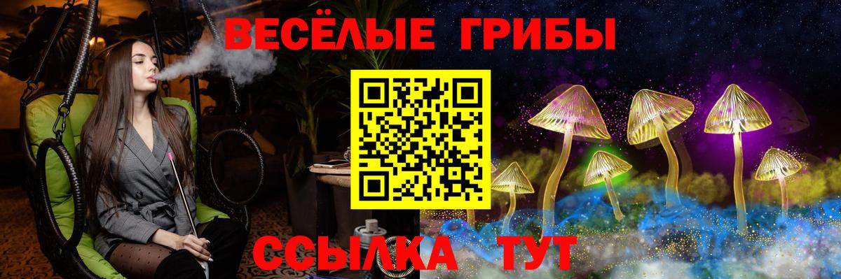 Галлюциногенные грибы прущие грибы Ростов Великий